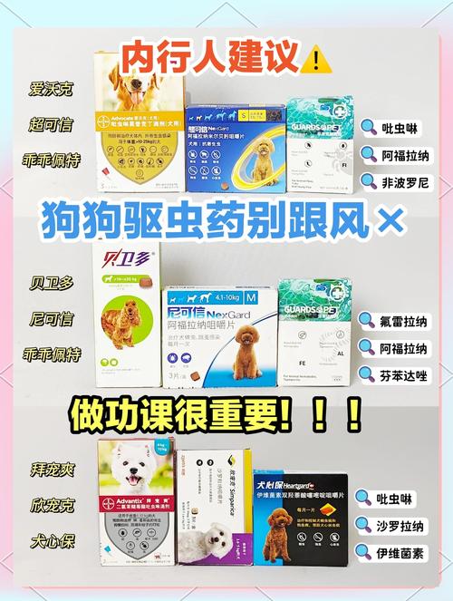 狗狗可以吃肠虫清吗