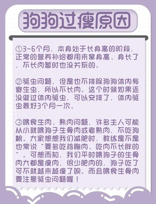 狗狗太瘦了吃什么能快速长胖?