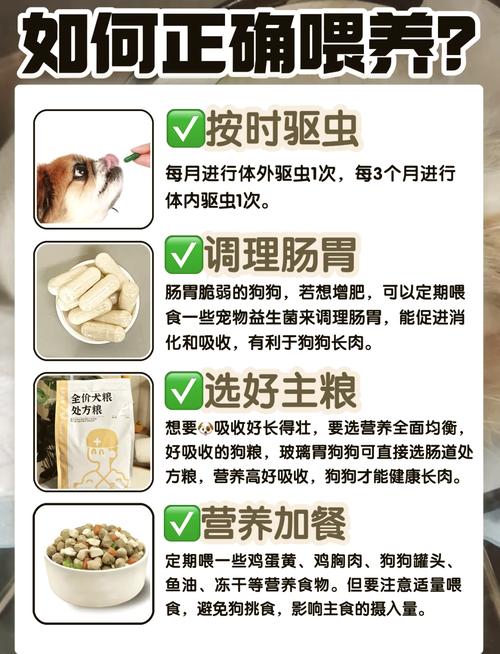 狗狗吃什么增肥最快?