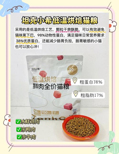 养猫新手选猫粮?猫咪除了猫粮还应该吃什么