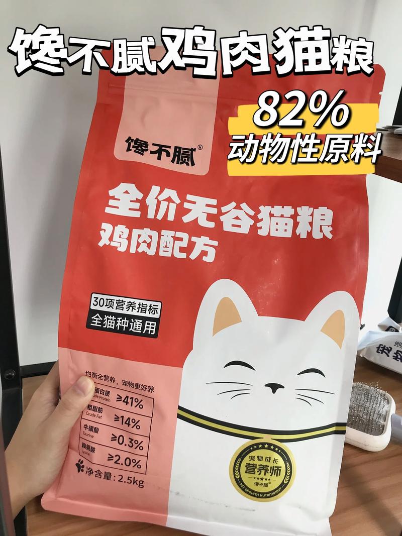 猫能吃什么食物