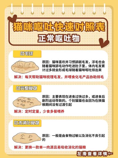 猫咪应该吃什么食物?