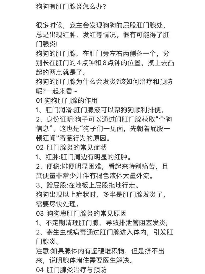 如何给狗狗挤肛门腺