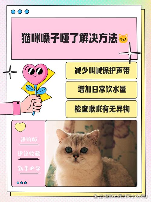 一岁大的猫咪呼吸时有杂音且叫声小而沙哑该怎么治疗?