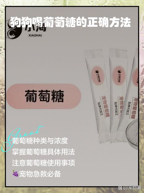 狗狗喝葡萄糖水有什么好处?