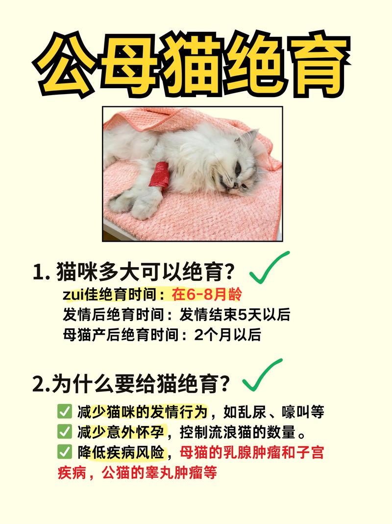 公猫用做绝育吗?多大的时候做?