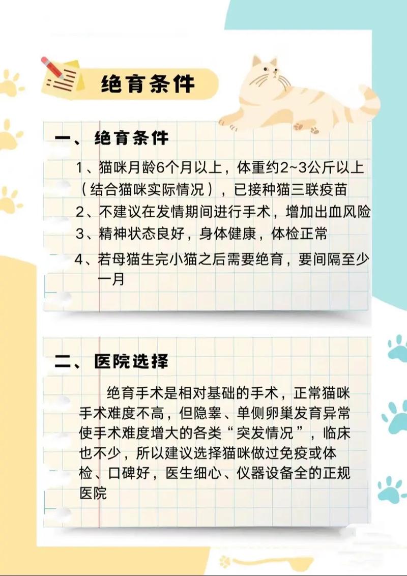 公猫咪多大做绝育手术比较好?