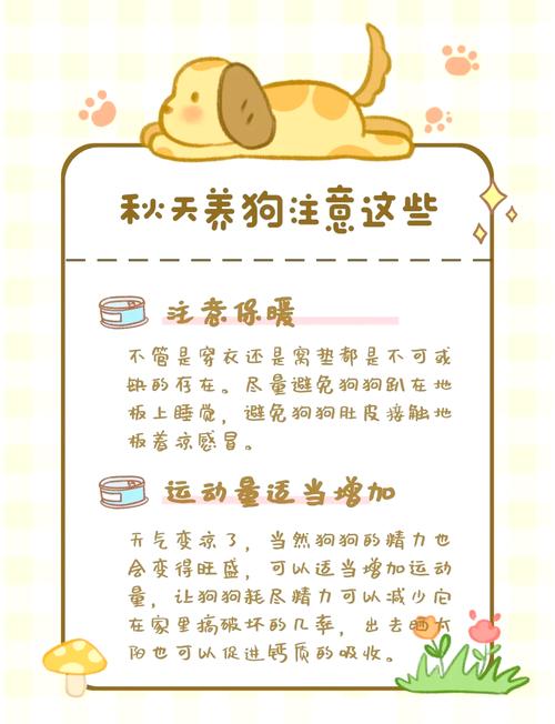 秋天饲养狗狗注意事项