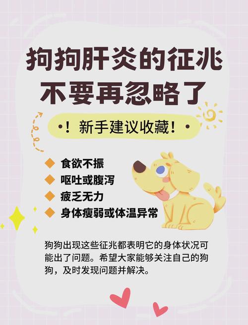 狗狗肝脏受损5大征兆