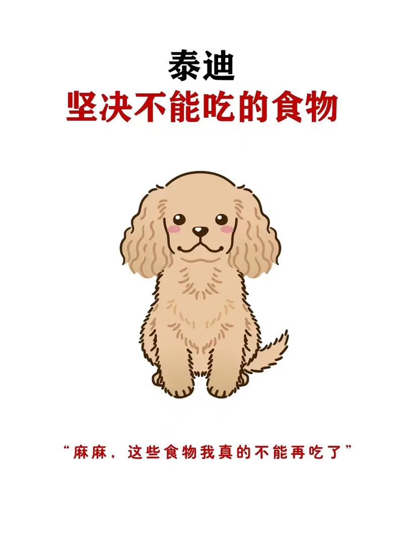 泰迪狗狗可以吃玉米吗,泰迪能不能吃玉米