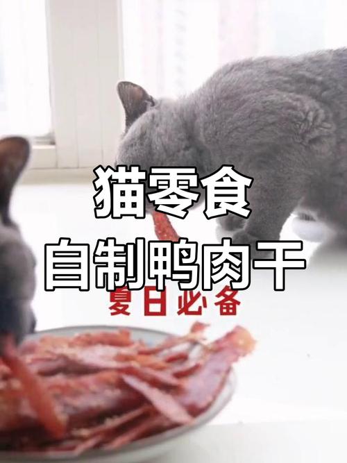 猫能吃鸭肉吗