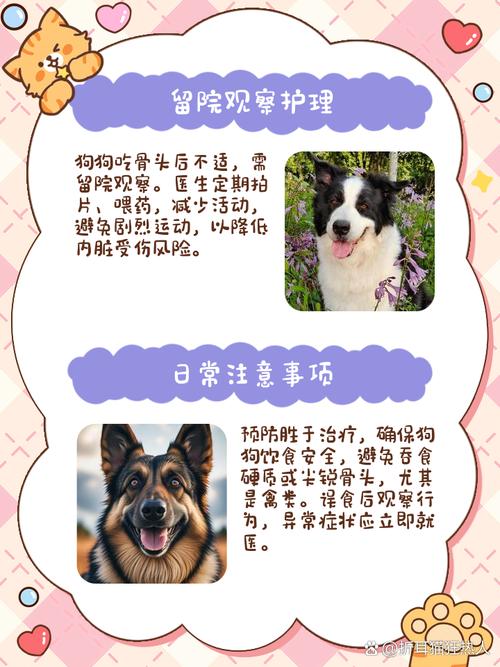 狗吃骨头多了不消化怎么办?