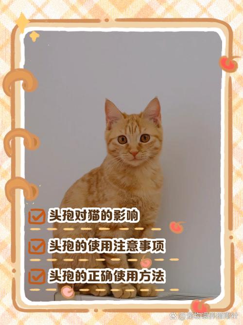 猫吃头孢会中毒吗