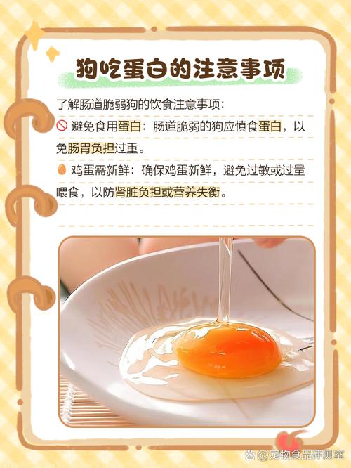 狗狗为什么不能吃蛋白