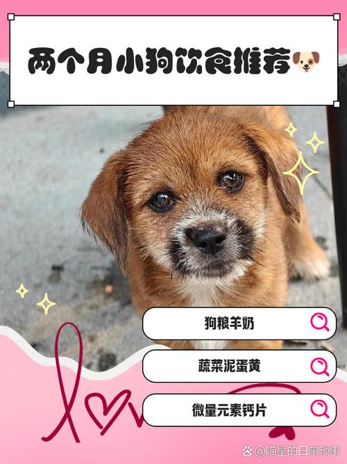 两个月大狗狗吃什么比较好?