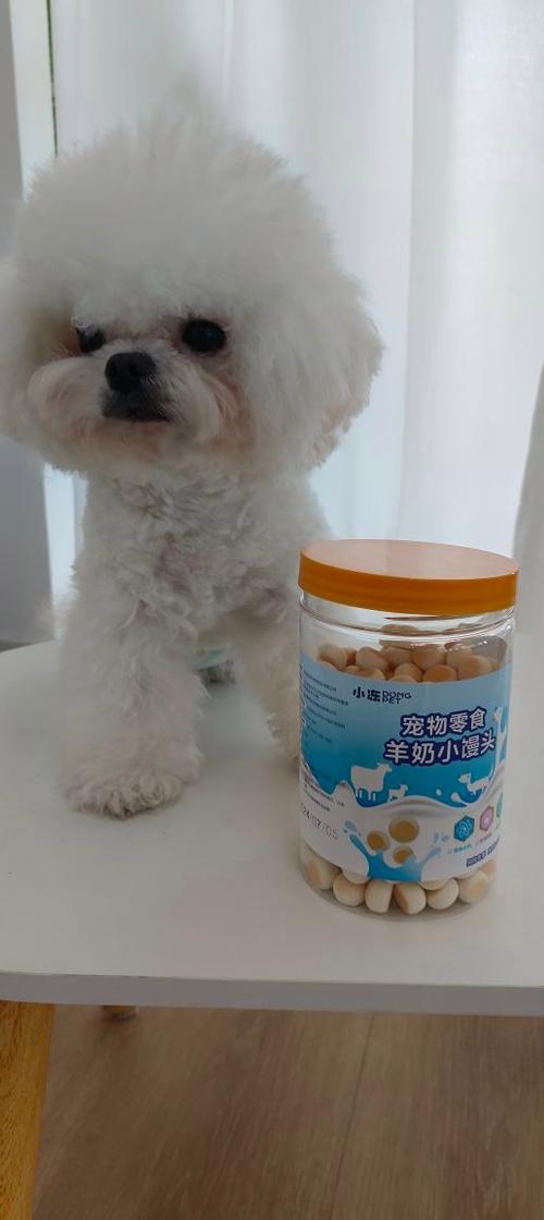 狗狗博美两个月大应该吃什么