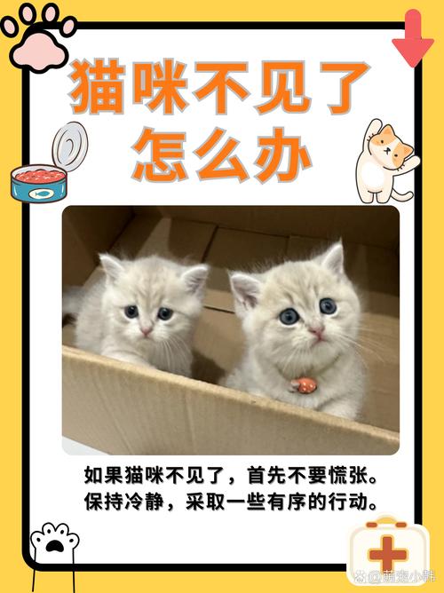 猫咪想妈妈了心情不好怎么能让它开心起来?