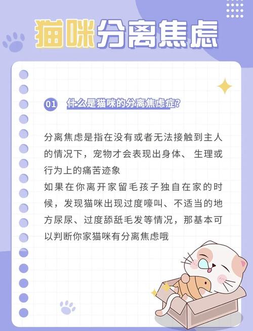 猫咪心情不好时,主人该怎么办?