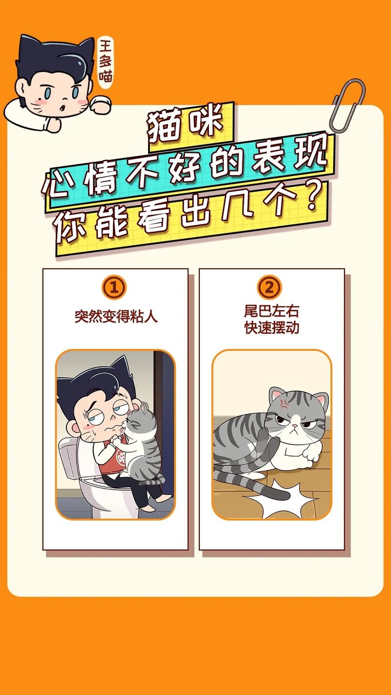 猫咪性格不好怎么训练?