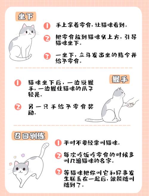 猫咪心情不好的表现