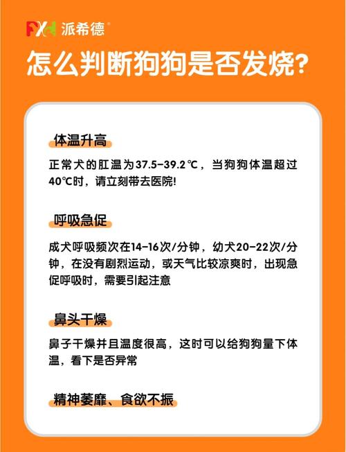 狗狗发烧症状有哪些表现