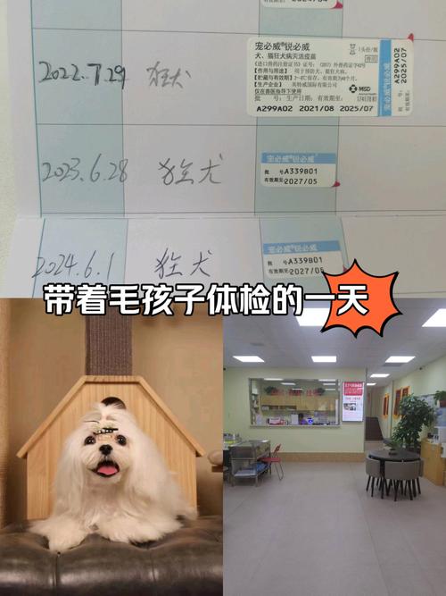 狗狗疫苗比较多推迟几天