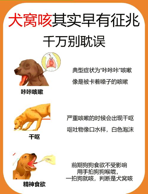 ...有时候还咳嗽,不发烧不拉稀不吐,精神超好,怎么办呢?