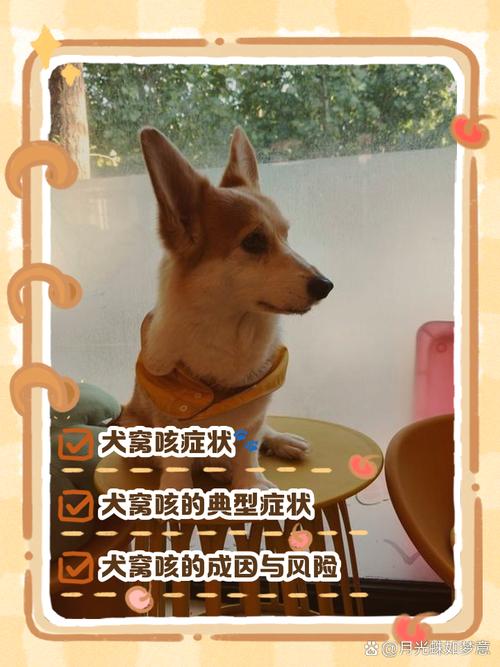 四个半月大的泰迪咳嗽,有点流清鼻水,食欲和精神方面都很好,该怎么...