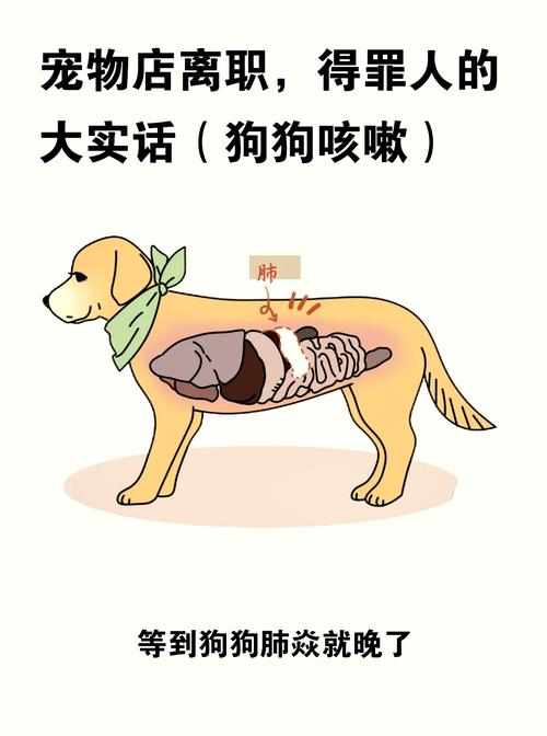 狗狗感冒症状狗狗感冒表现有哪些