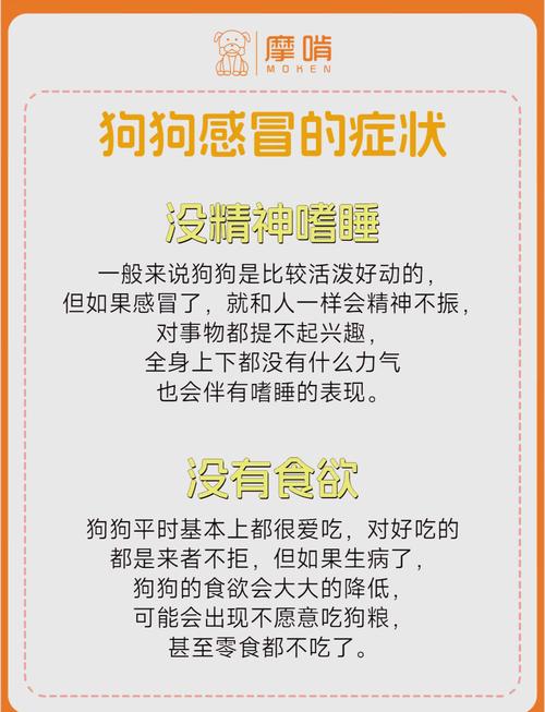 狗狗感冒有什么症状