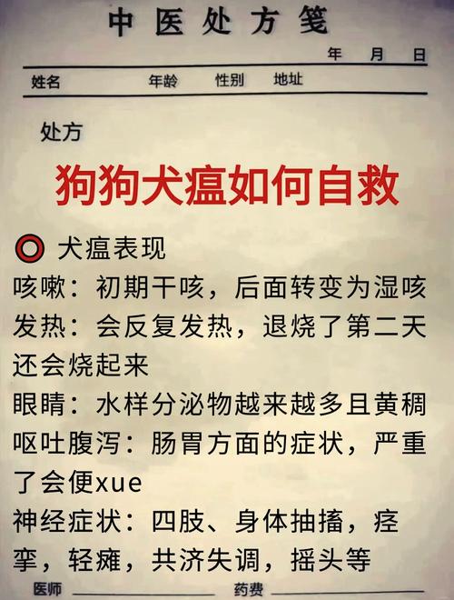 我家小狗得了犬瘟热该怎么治疗?