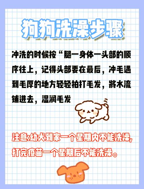 宠物狗可以天天洗澡吗