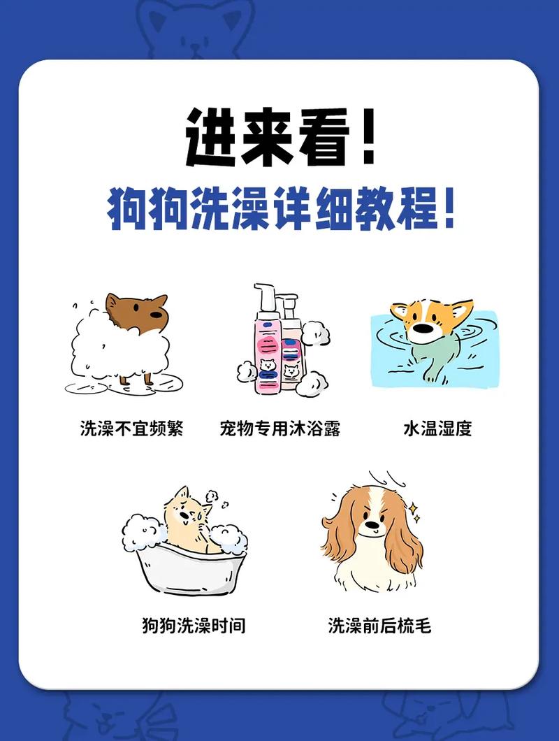 狗狗可不可以天天洗澡?