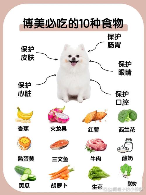 博美可以吃肉松面包吗