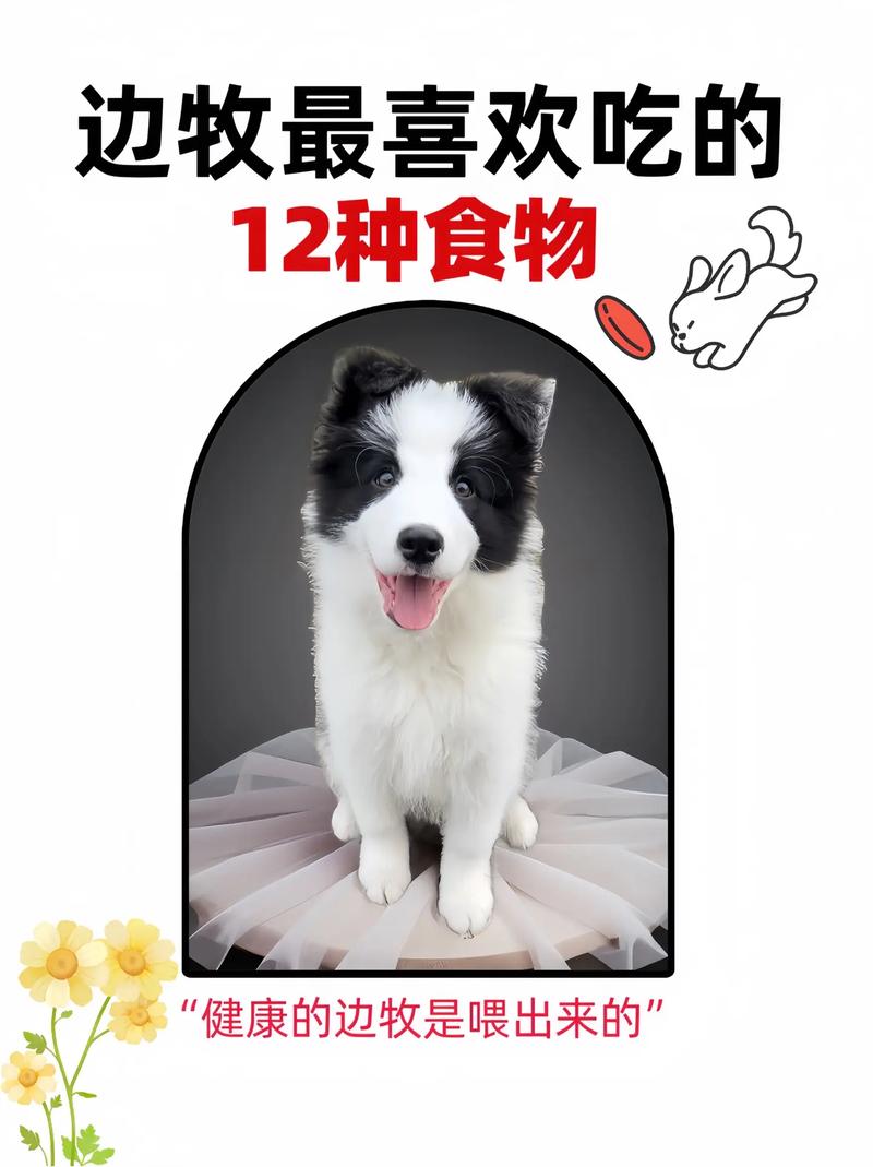 肉松沙拉面包能给狗狗吃吗?