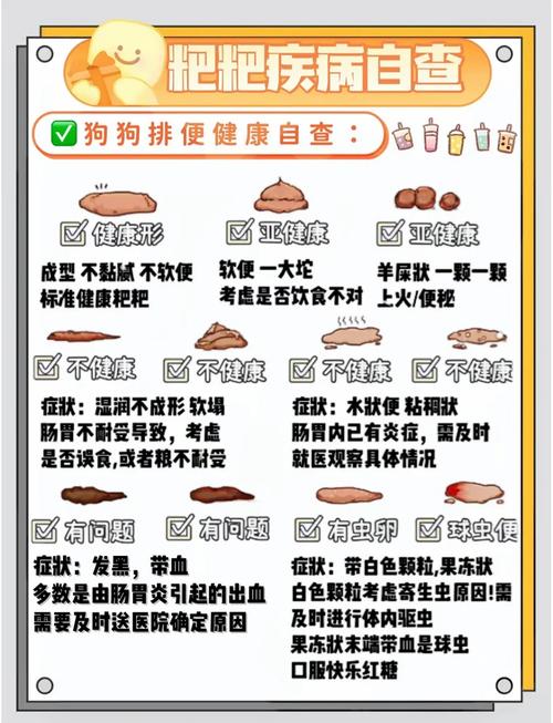 狗狗吃完饭多久排便?