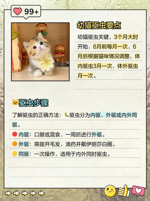 幼猫驱虫的正确方法