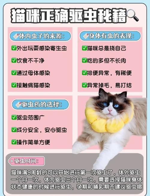 幼猫一个月能驱虫吗