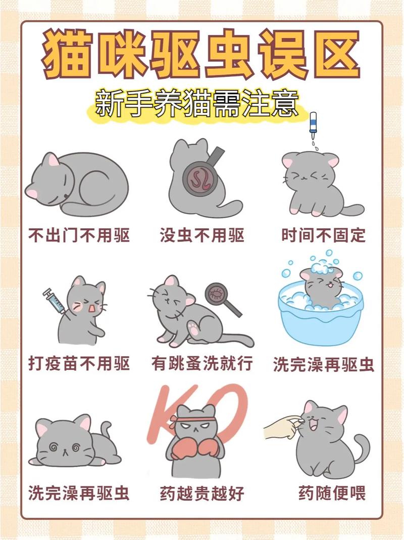 不到两个月的小猫可以驱虫吗?