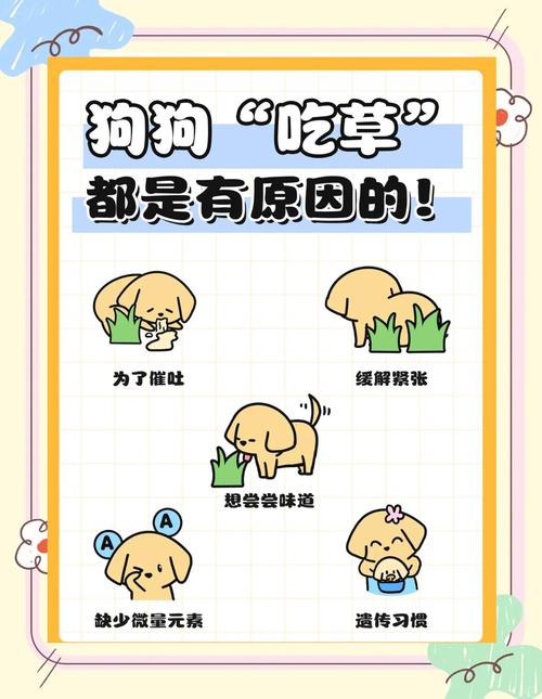 狗狗咳嗽怎么办啊?