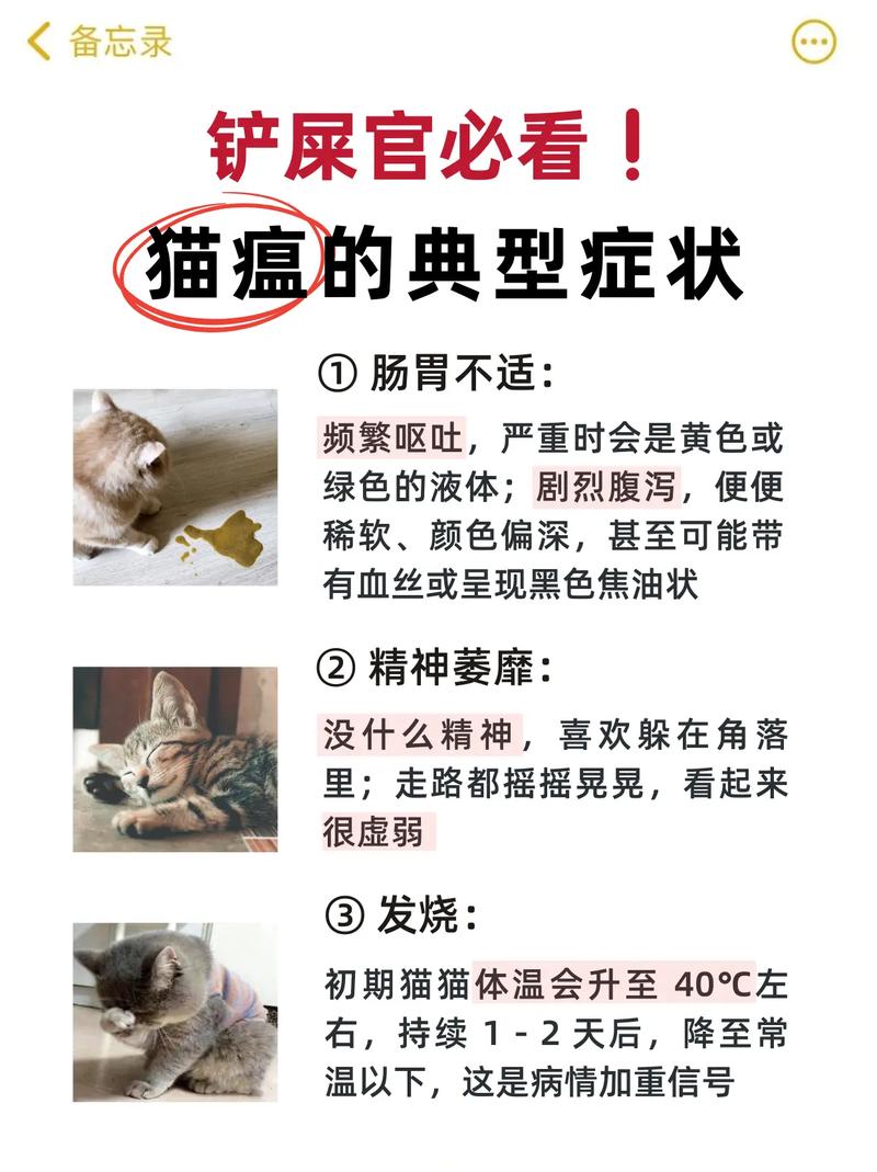 猫得猫瘟有什么症状?