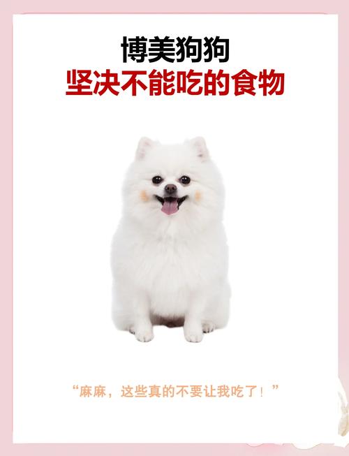 狗狗能吃什么东西