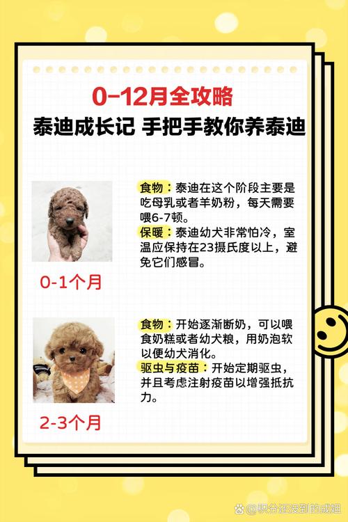 红狼犬饲养方法