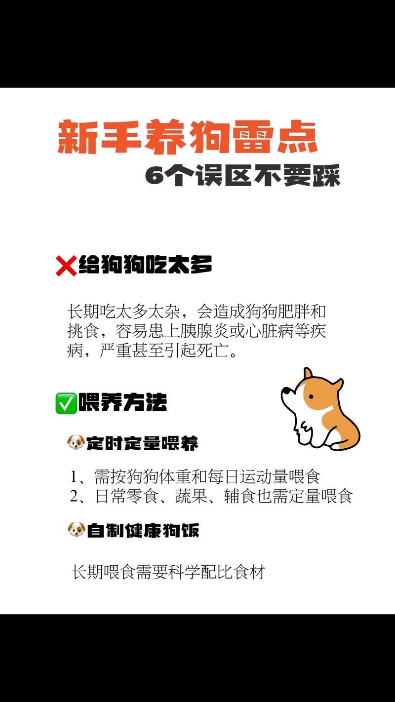 宠物狗狗该如何正确饲养?