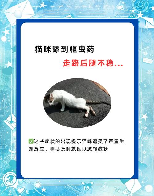 怀孕猫吃驱虫药的后果有哪些