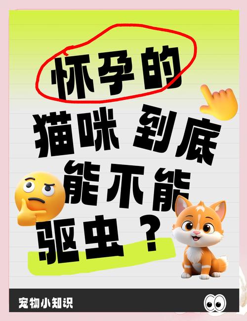 猫咪怀孕期间可以用驱虫剂吗?对婴儿会有什么影响?