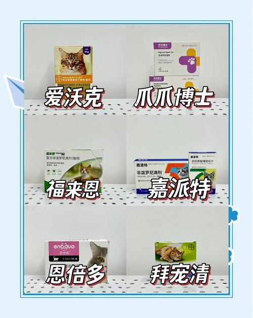 怀孕两个月的猫拉虫子,可以吃驱虫药吗