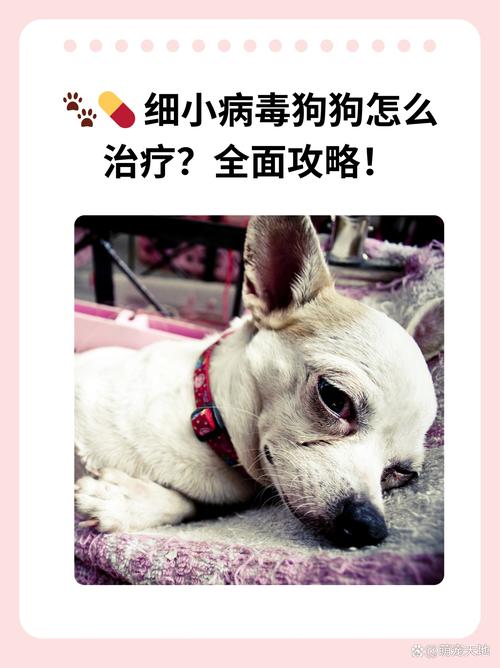 一岁多的狗狗会不会得细小病毒