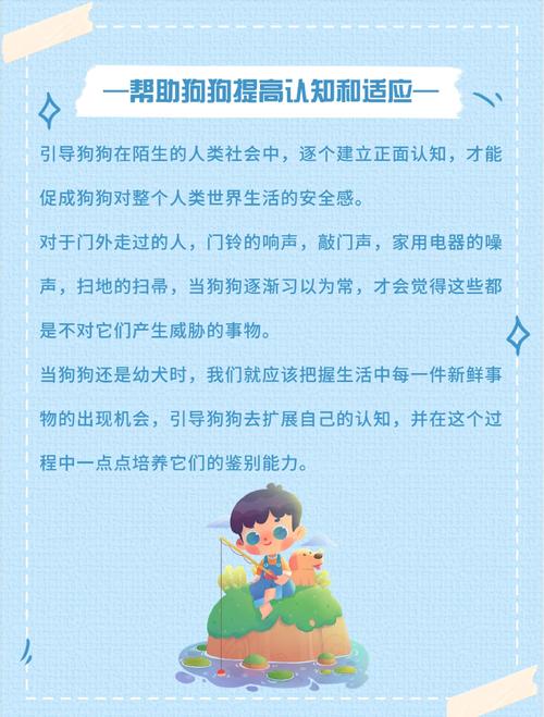 怎样提高狗狗的安全感?