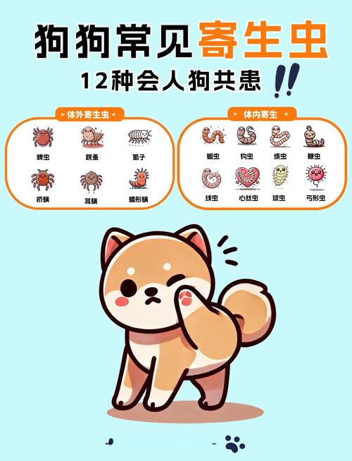 狗拉出白色虫子会死吗